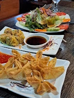 Thai Salad Chicken Dumplings and Crab Rangoon Appetizers
